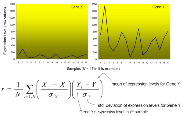 Calculation of Pearson Correlation Coefficient
